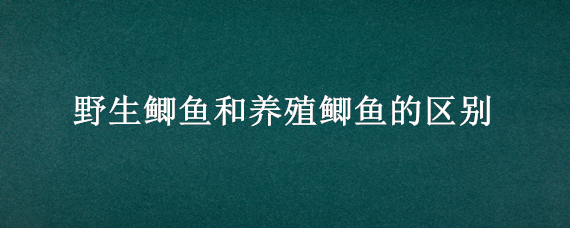 野生鲫鱼和养殖鲫鱼的区别（野生鲫鱼和养殖鲫鱼哪个好）