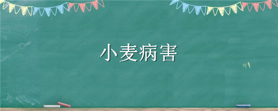 小麦病害 小麦病害分级标准