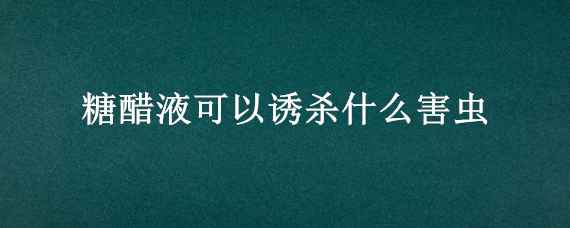 糖醋液可以诱杀什么害虫（糖醋液可以诱杀什么类害虫）