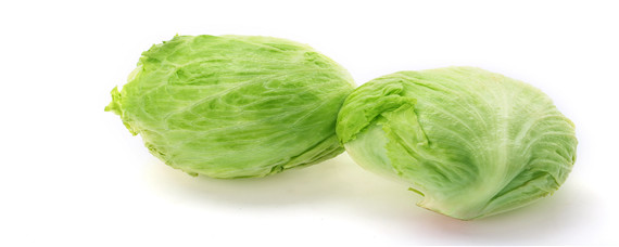 包菜要种几个月可以收 包菜种植多长时间