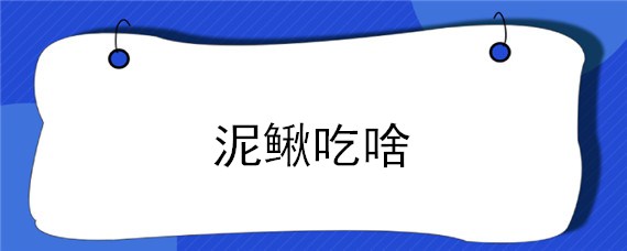 泥鳅吃啥 泥鳅吃啥东西