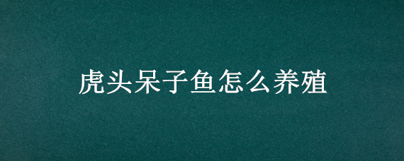 虎头呆子鱼怎么养殖 虎头呆子鱼养殖技术