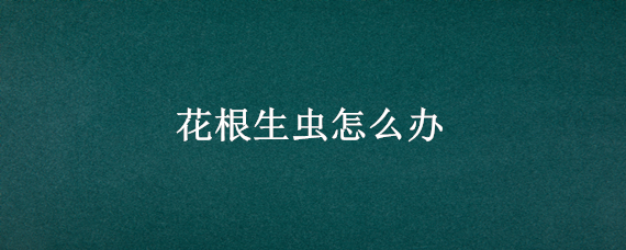 花根生虫怎么办（花根上有虫子怎么办）