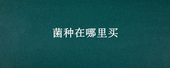 菌种在哪里买（蘑菇菌种在哪里买）