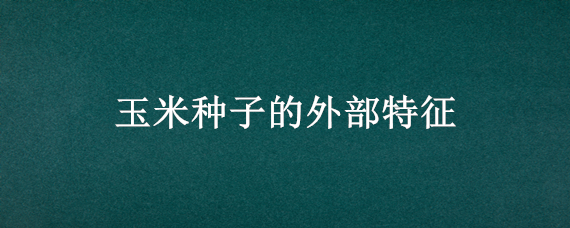 玉米种子的外部特征（玉米种子的外部特征和内部结构）