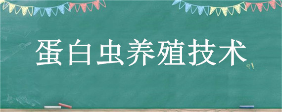 蛋白虫养殖技术（蛋白虫养殖技术资料）