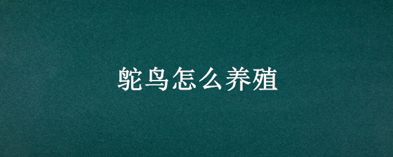 鸵鸟怎么养殖（鸵鸟养殖）