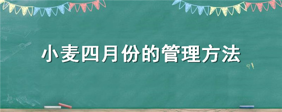 小麦四月份的管理方法（4月中旬小麦的管理）