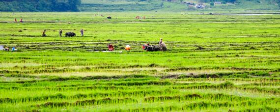 一般农田能建养殖场吗（农田可以建养殖场吗?）