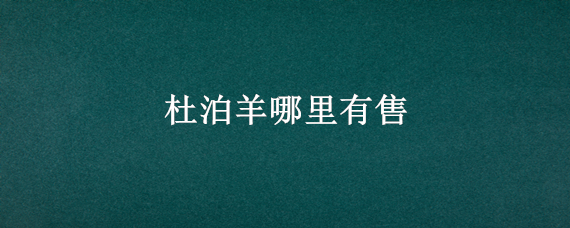 杜泊羊哪里有售(哪里可以买到纯种杜泊羊)