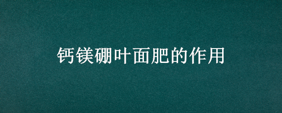 钙镁硼叶面肥的作用 钙镁硼叶面肥的作用及功能与什么农药混