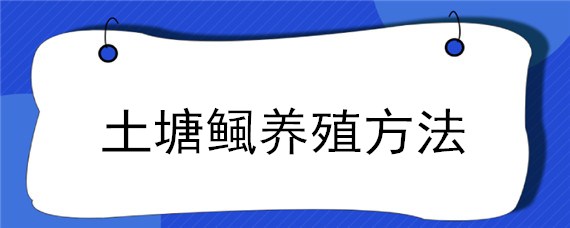 土塘鲺养殖方法 塘鳢怎么养殖