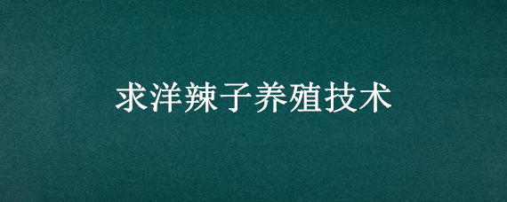 求洋辣子养殖技术 洋辣子孵化