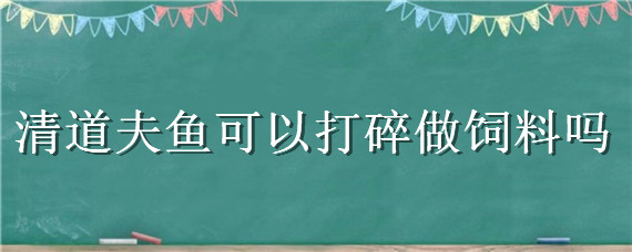 清道夫鱼可以打碎做饲料吗（清道夫可以做成鱼饲料吗?）