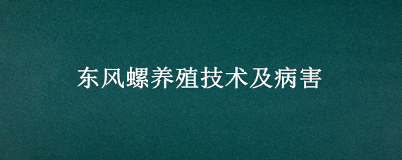 东风螺养殖技术及病害 东风螺的养殖