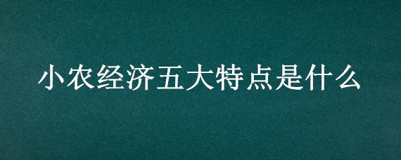 小农经济五大特点是什么（小农经济的基本特点是什么）