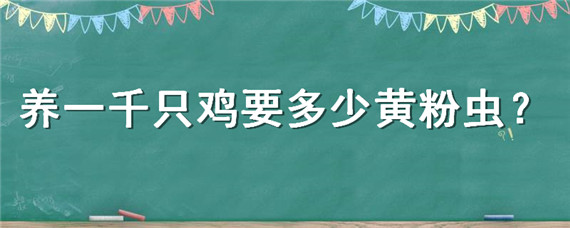 养一千只鸡要多少黄粉虫 如何养殖黄粉虫喂鸡