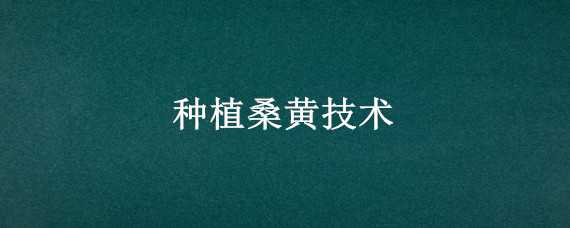 种植桑黄技术 种植桑黄技术视频