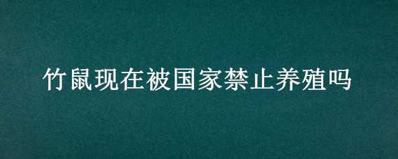 竹鼠现在被国家禁止养殖吗（竹鼠现在被国家禁止养殖吗2022）