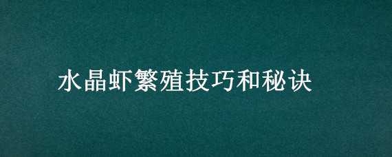 水晶虾繁殖技巧和秘诀 练手水晶虾能繁殖出好虾吗