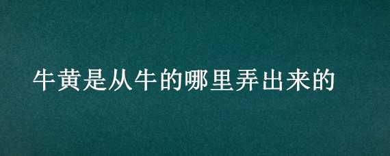 牛黄是从牛的哪里弄出来的 牛黄在牛的哪里