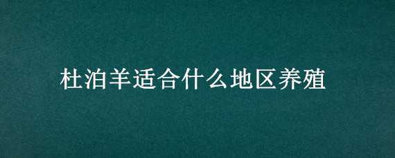 杜泊羊适合什么地区养殖