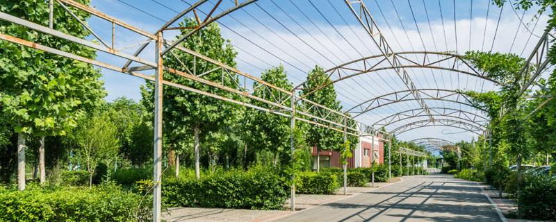 农村养殖业致富项目推荐（农村养殖业六大致富项目推荐）