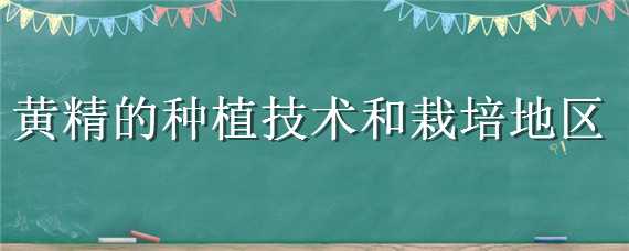 黄精的种植技术和栽培地区 黄精的种植技术和栽培地区黄