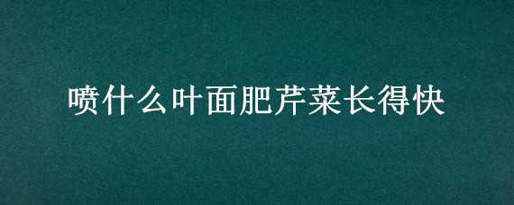 喷什么叶面肥芹菜长得快 喷什么叶面肥芹菜长得快点