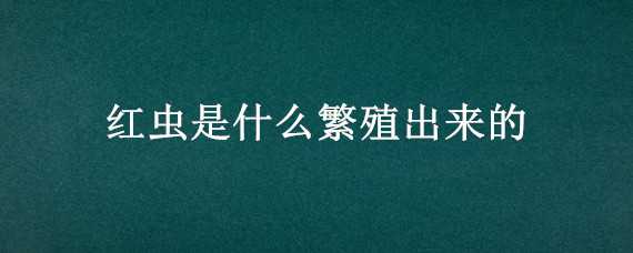 红虫是什么繁殖出来的（红虫 繁殖）