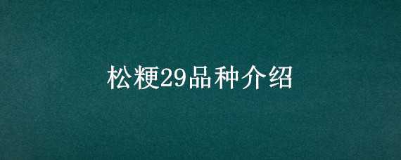 松粳29品种介绍 松粳29水稻品种简介