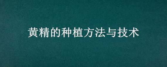 黄精的种植方法与技术（黄精的种植方法与技术黄金种子怎么催芽）