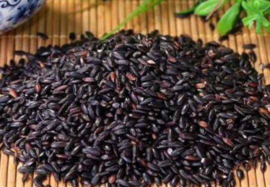 紫糯米的功效与作用及禁忌有哪些 紫糯米的功效与作用及禁忌有哪些图片