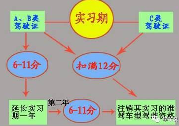 c1驾照实习期扣分规定2020