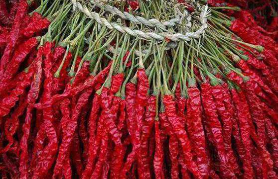 辣椒的营养价值，辣椒的功效（辣椒的营养价值和作用）