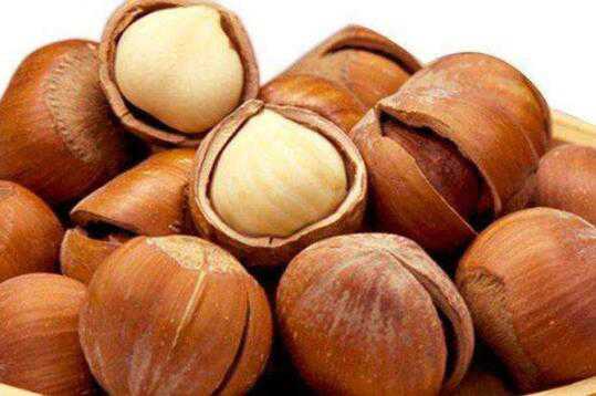 榛子的功效与作用，榛子的禁忌 食用榛子有什么功效