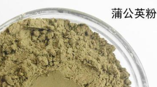 蒲公英根磨粉的功效与作用 蒲公英根磨粉的功效与作用禁忌