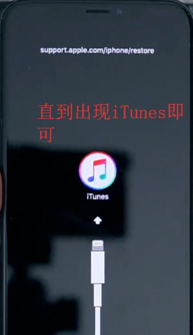 iPhonex怎么进入itunes模式