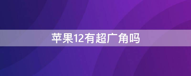 iPhone12有超广角吗