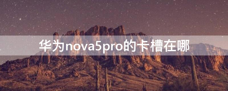 华为nova5pro的卡槽在哪