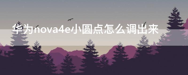 华为nova4e小圆点怎么调出来