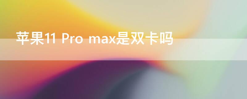 iPhone11 Pro max是双卡吗