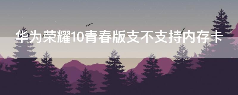 华为荣耀10青春版支不支持内存卡