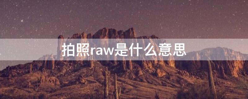 拍照raw是什么意思