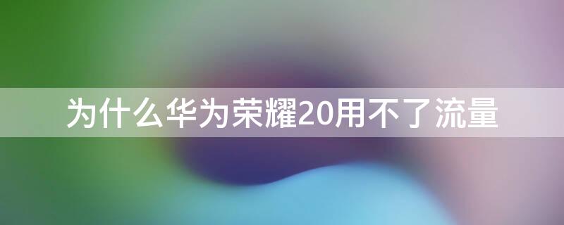 为什么华为荣耀20用不了流量