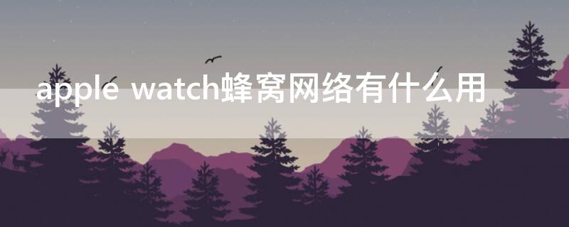 apple watch蜂窝网络有什么用