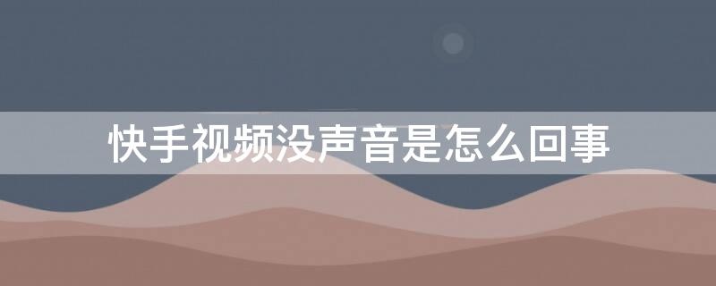 快手视频没声音是怎么回事