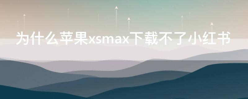 为什么iPhonexsmax下载不了小红书