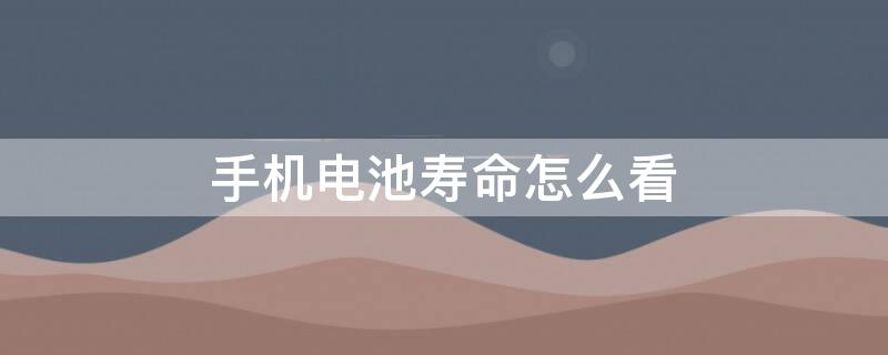 手机电池寿命怎么看