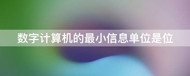 数字计算机的最小信息单位是位